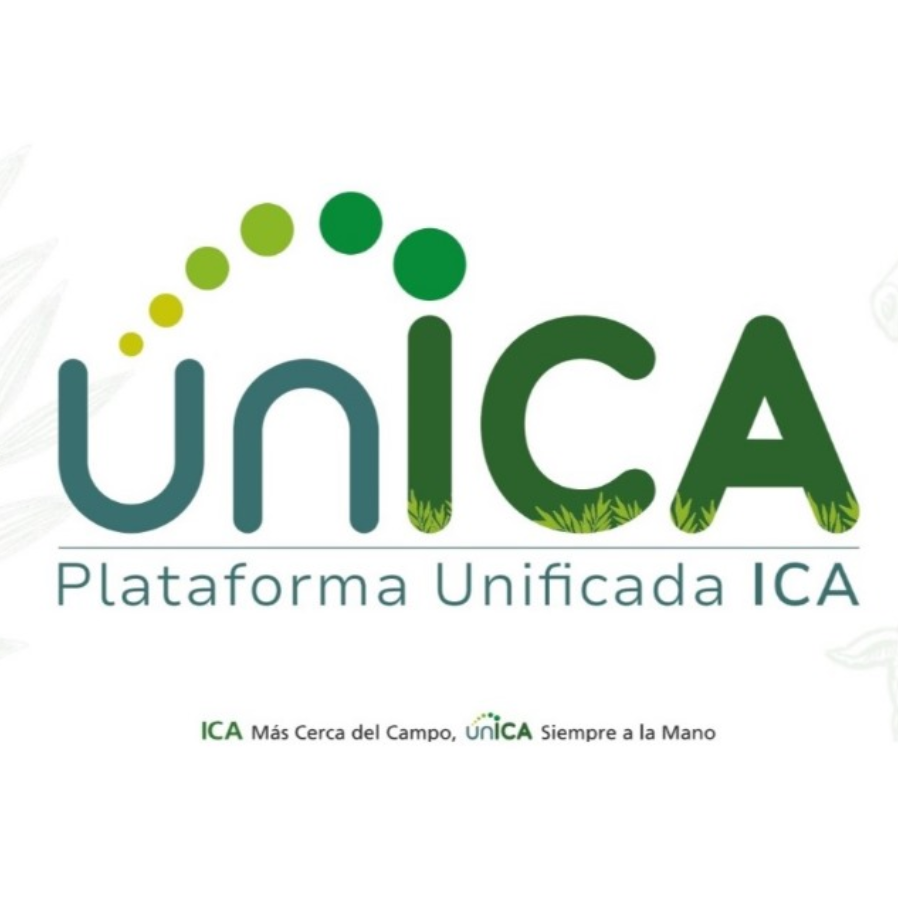 UnICA - BI